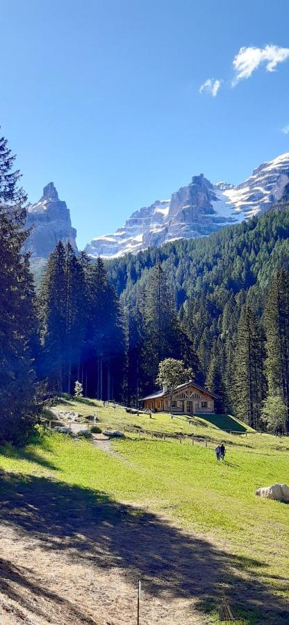 Chalet Brenta Dolomites Villa Madonna di Campiglio Exterior photo