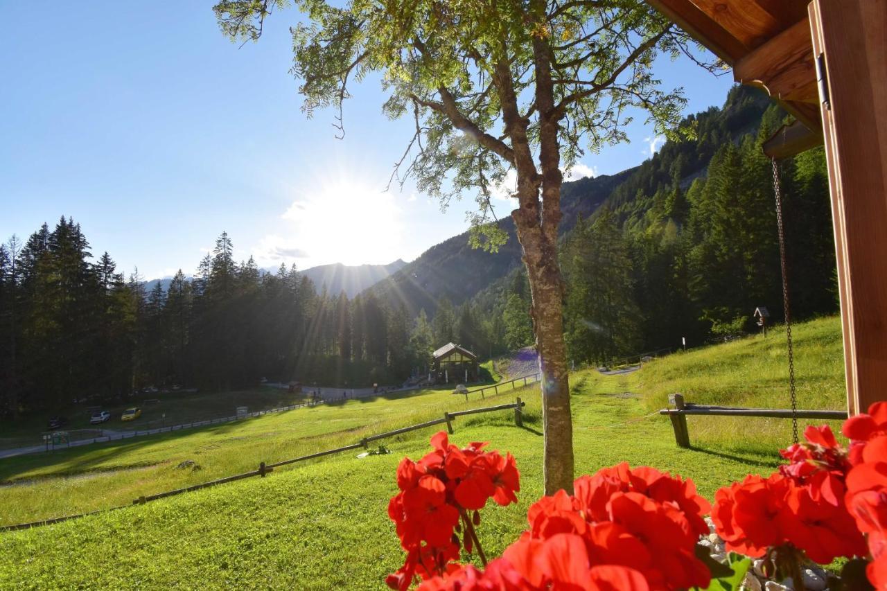 Chalet Brenta Dolomites Villa Madonna di Campiglio Exterior photo