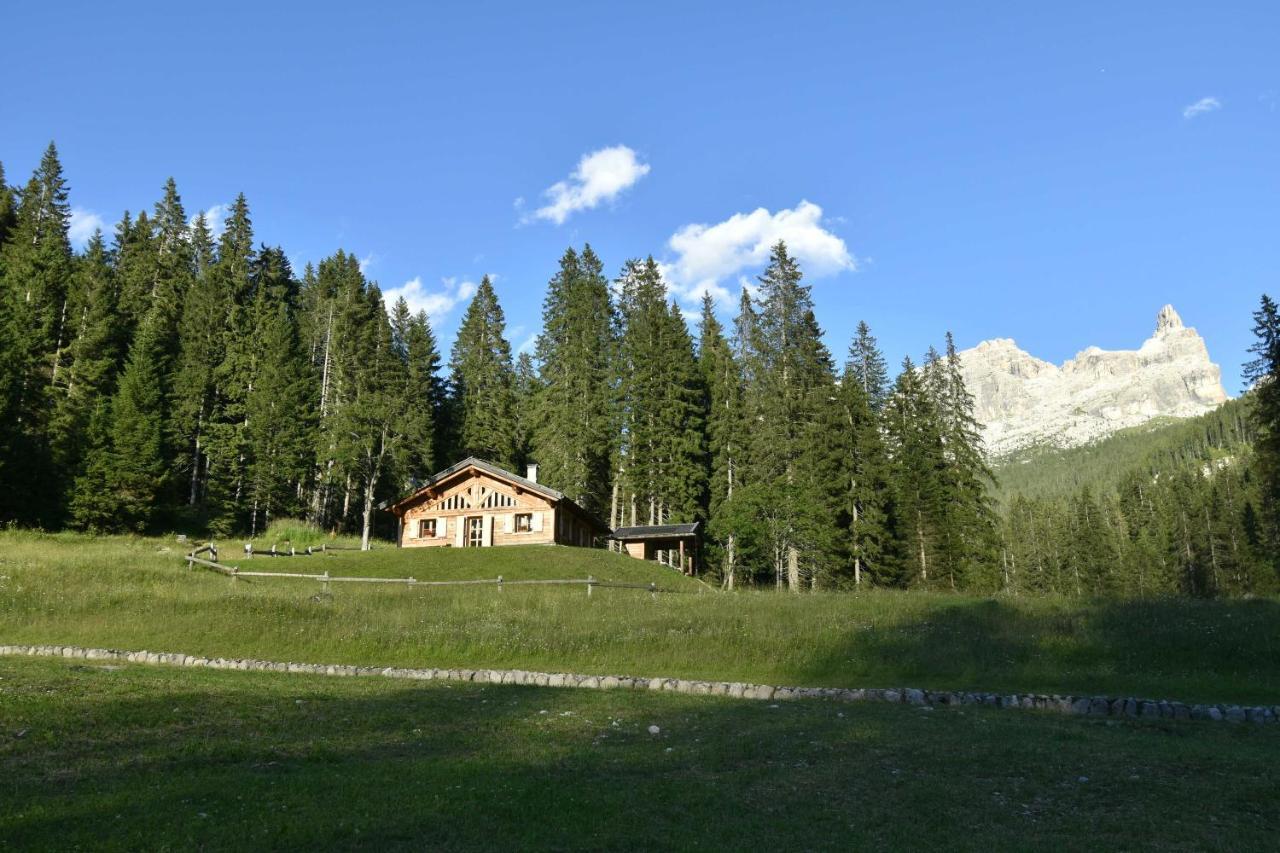 Chalet Brenta Dolomites Villa Madonna di Campiglio Exterior photo