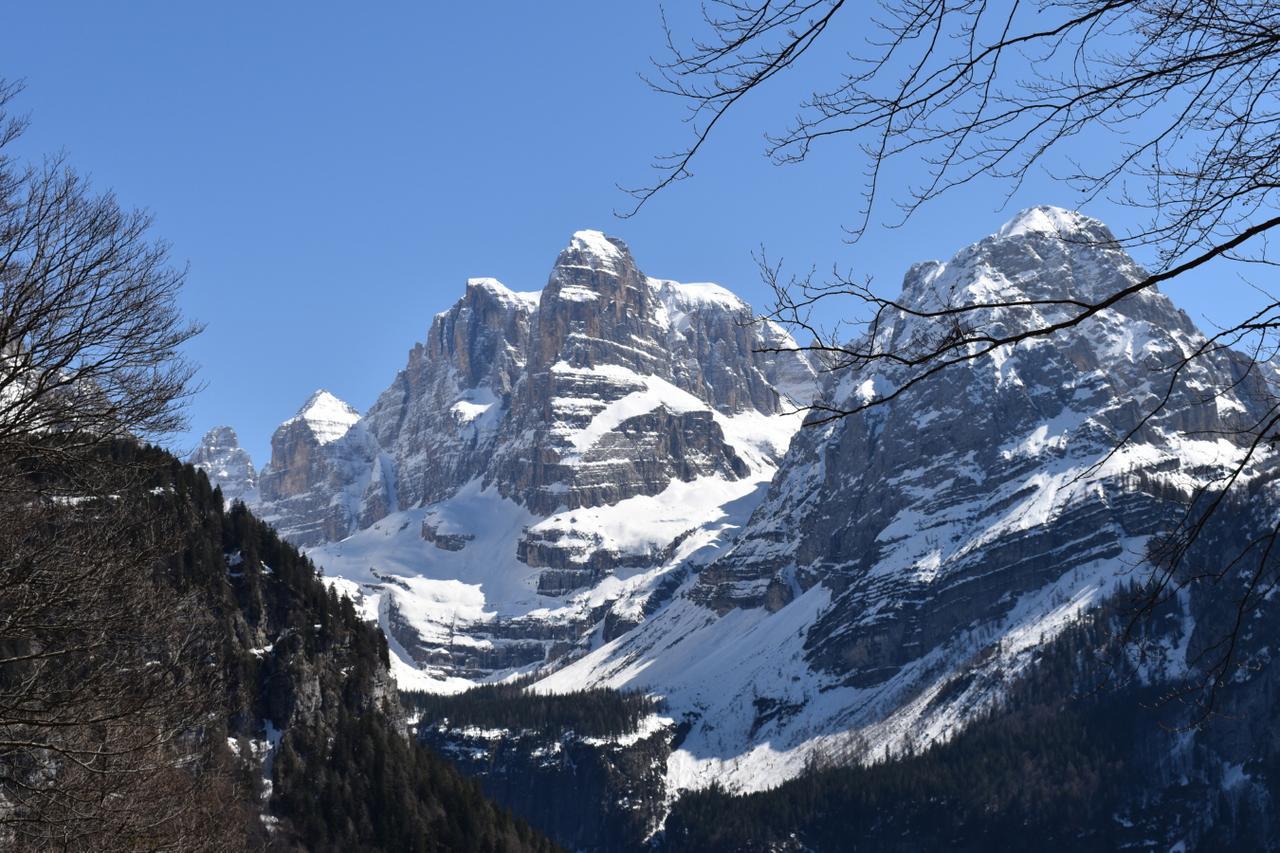 Chalet Brenta Dolomites Villa Madonna di Campiglio Exterior photo