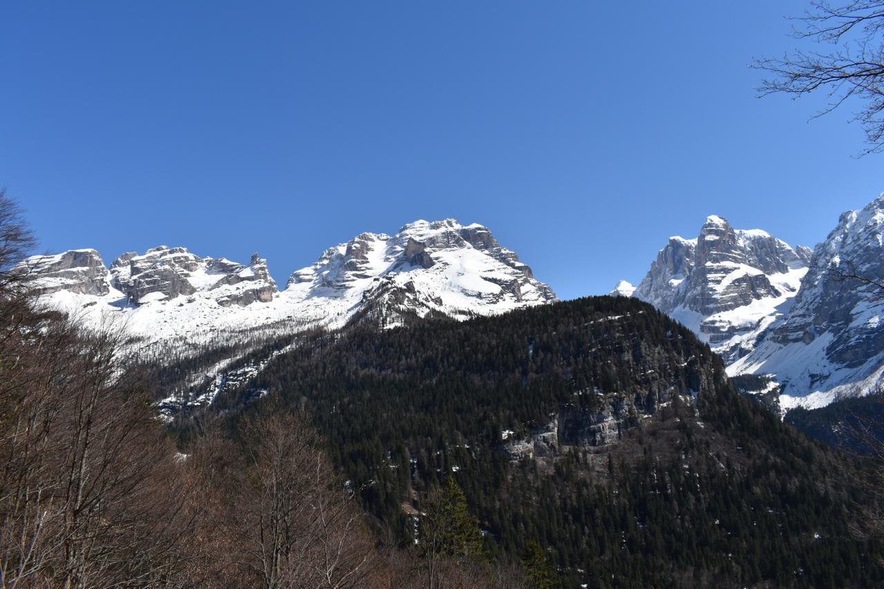 Chalet Brenta Dolomites Villa Madonna di Campiglio Exterior photo